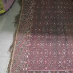 560 2495 ORIENTAL CARPET